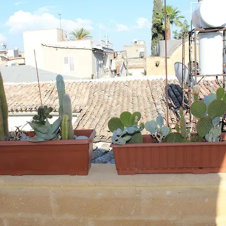 Pedieos 4* Nicosia